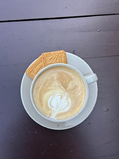 A latte with leaf latte art and a biscuit, seen from above